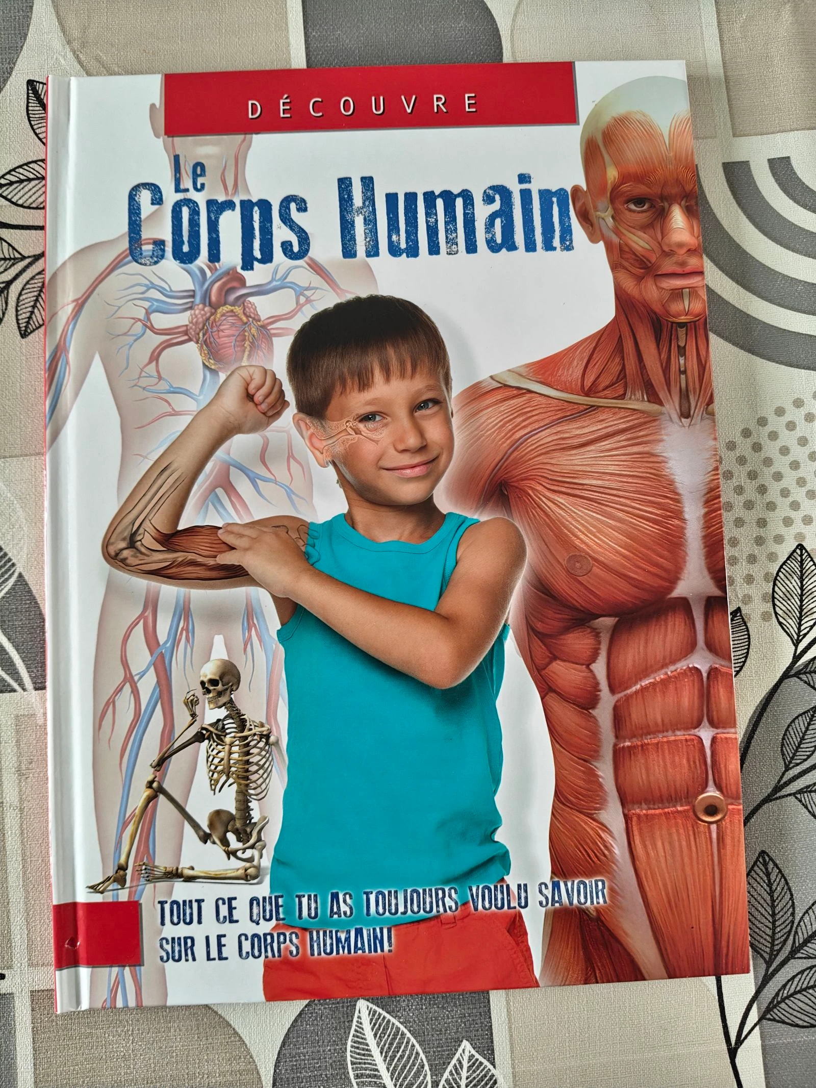 Lote la Tierra es el cuerpo humano – photo 7